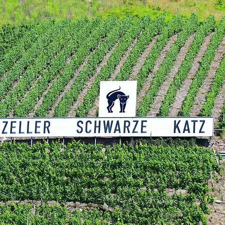 Gaestehaus Zeller Altstadt Ubytování v soukromí Zell an der Mosel