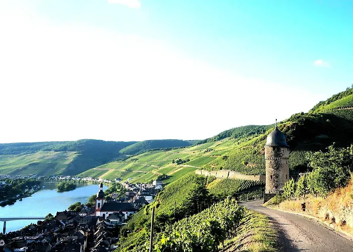 홈스테이 Gaestehaus Zeller Altstadt