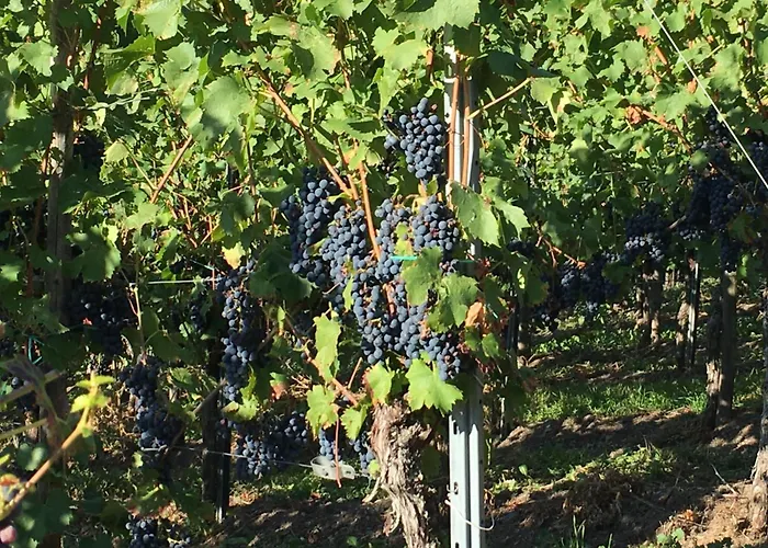 Gaestehaus Zeller Altstadt