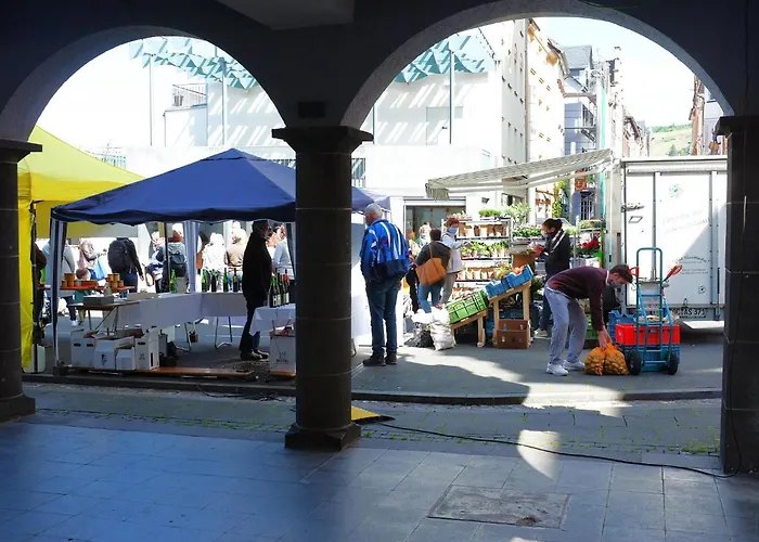 홈스테이 Gaestehaus Zeller Altstadt *