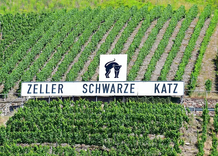 Gaestehaus Zeller Altstadt 홈스테이 첼 안 데어 모젤